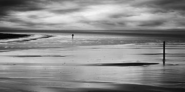 Alone_in_the_Wadden_Sea_2to1 van Manfred Rautenberg Digitalart
