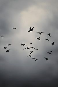Wolken und Vögel Gemälde