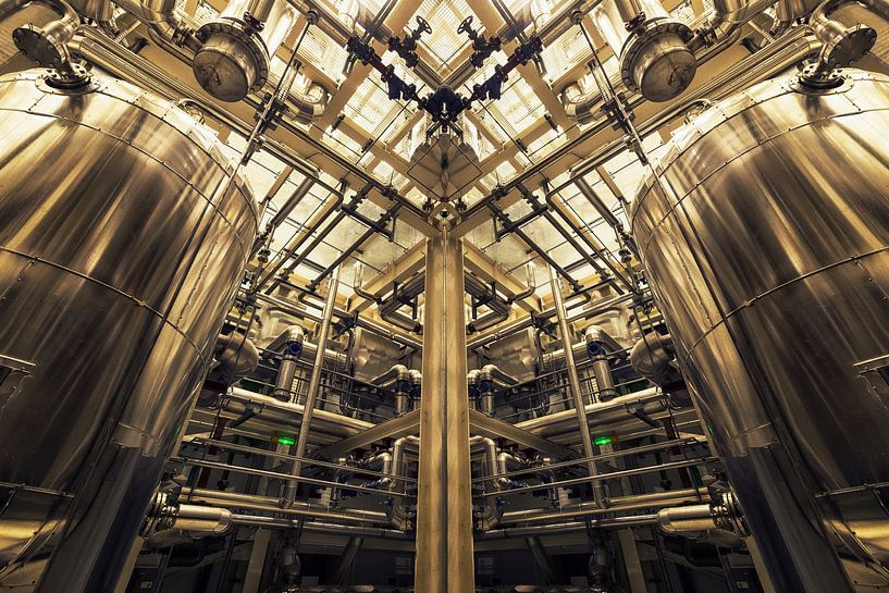 Golden Symmetry by Dieter Herreman