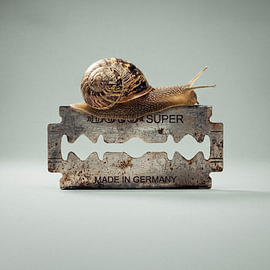 Slow is smooth, Smooth is fast... by The White Rabbit