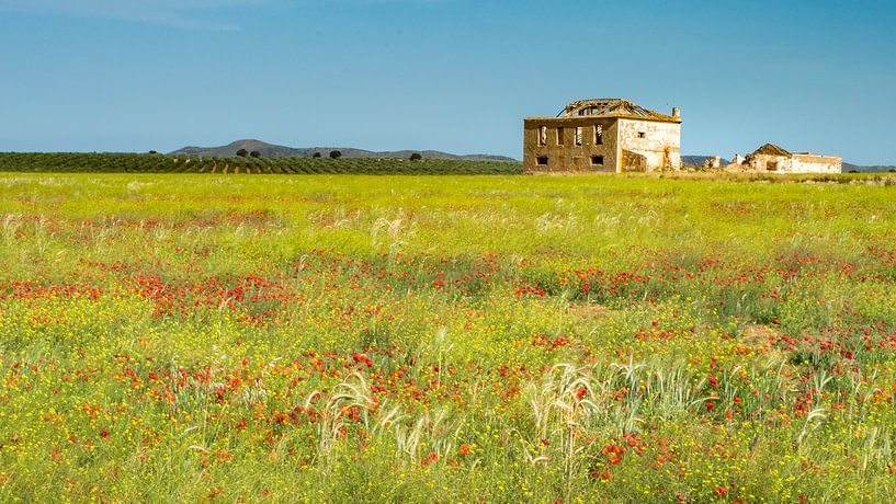 Andalusië - Spanje van Maarten Leeuwis