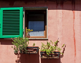 Stimmungsvolles venezianisches Fenster mit grünen Fensterläden und Pflanzen