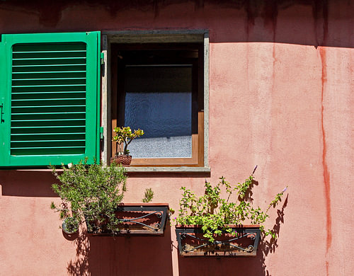 Stimmungsvolles venezianisches Fenster mit grünen Fensterläden und Pflanzen
