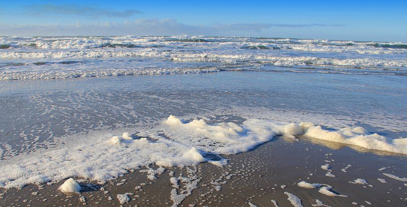Beach of Zandvoort by Jose Lok
