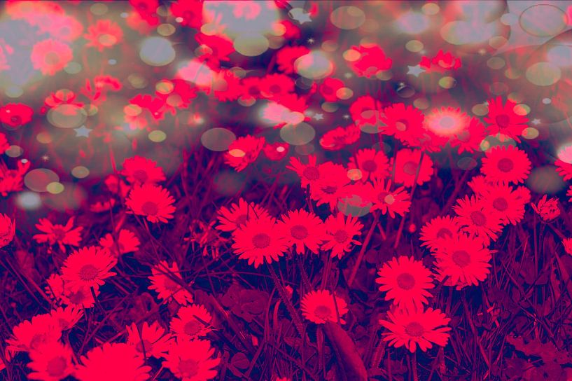 Rode bloemen von Jane Changart