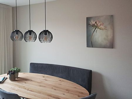 Nœud zélandais, minimalisme