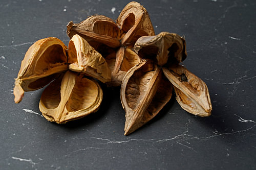 Drie gedroogde steranijspeulen op een zwart tafelblad.