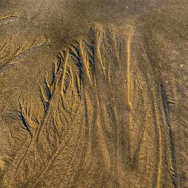 Arbres sur la plage.... sur Dick Kattestaart