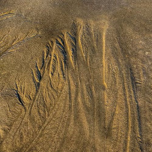 Sculpturen in zand....