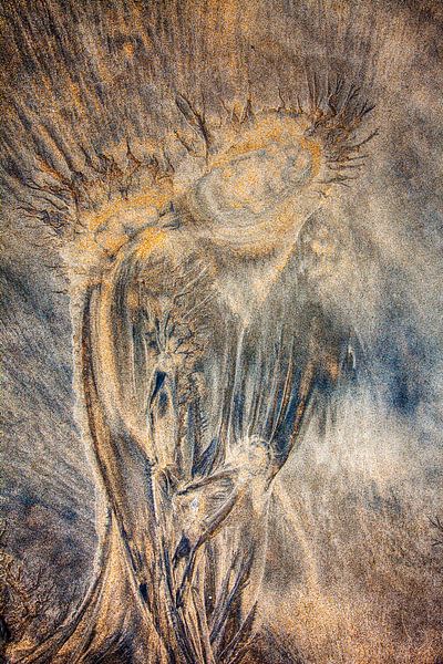 Sand 101 by Willy Lippens