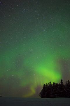 Les aurores boréales en Laponie suédoise