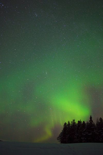 Noorderlicht in zweeds Lapland van Arnold van Rooij