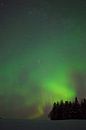 Noorderlicht in zweeds Lapland van Arnold van Rooij thumbnail