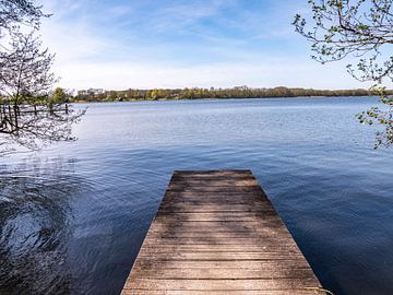jetty at the Mecklenburg Lake District by Animaflora PicsStock