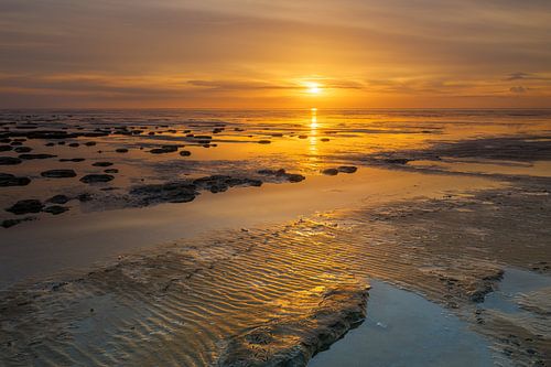 The Wadden Sea in beautiful light