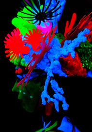 Farben in Schwarz von Brian Morgan