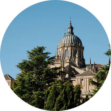 Bezienswaardigheden in Salamanca van Shanti Hesse