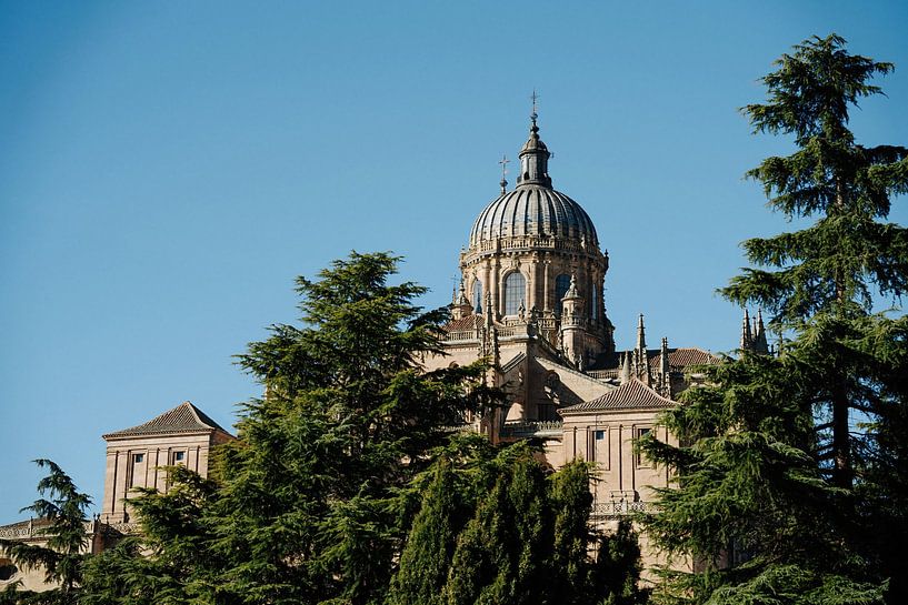 Sightseeing in Salamanca von Shanti Hesse