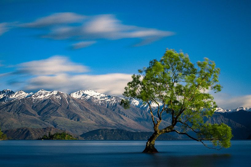 The Lonely Tree of Wanaka - Lake Wanaka, New Zealand by Martijn Smeets