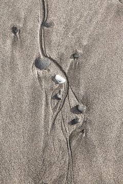 Fijne stromingsstructuren in het zand van Jan Schuler