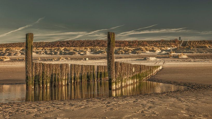 groynes at domburg by anne droogsma