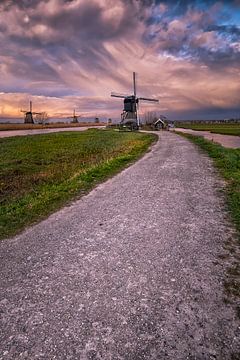 The path to the Kinderdijk mill by Sander Poppe