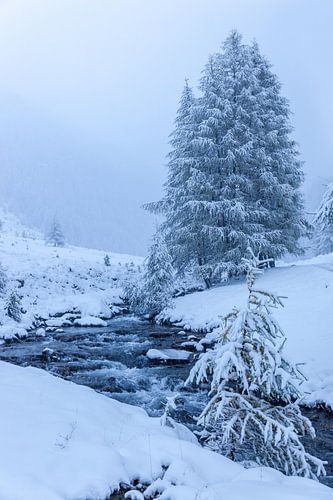 Mountain stream in the Knuttental with snow drift, Tauferer Ahrntal, South Tyrol