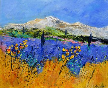 Lavendel in der Provence von pol ledent