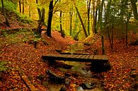 Een bos in herfstsfeer word opgesplitst door een klein beekje met een oud bruggetje van Paul Wendels thumbnail