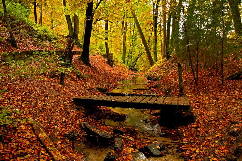 Een bos in herfstsfeer word opgesplitst door een klein beekje met een oud bruggetje van Paul Wendels
