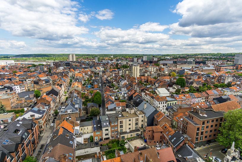 View over Leuven by Joost Potma