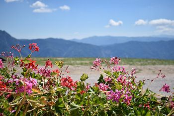Sommer in Norditalien