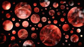 Windows To The Universe VI