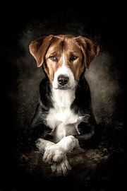 Le psychologue réfléchi - Portrait classique de chien sur Jorali Beaux-Arts