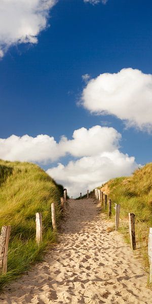 Sylt, way through dunes by Markus Lange