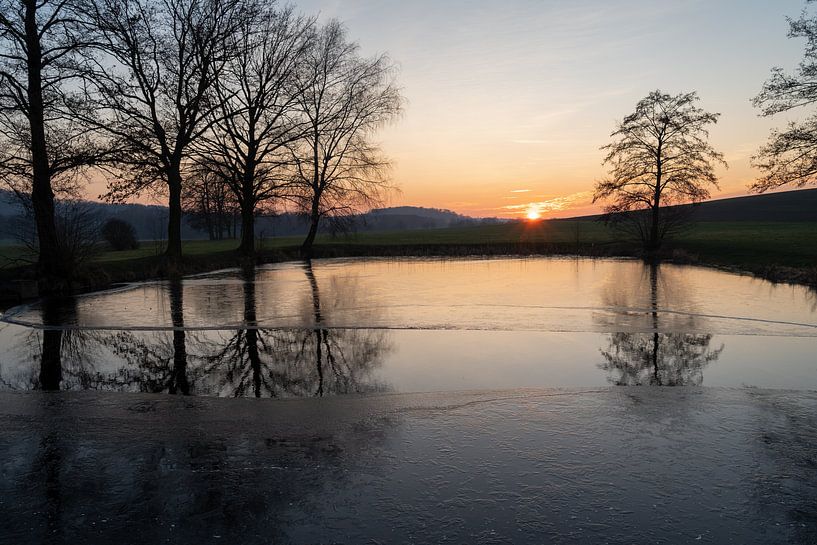 Zonlicht, bevroren water en bomen in de winter van Adriana Müller