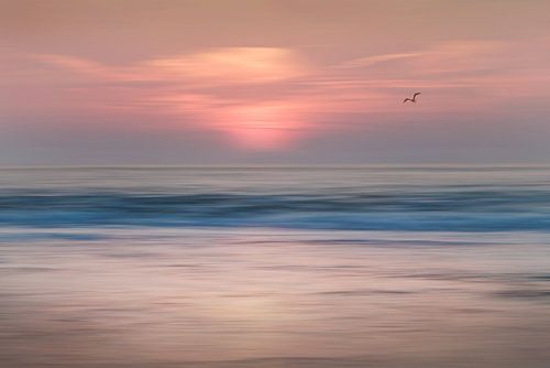 Bevolkte abstracte zonsondergang aan zee met meeuw