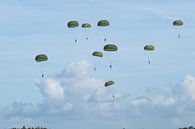 paradropping by Raymond Engelen thumbnail