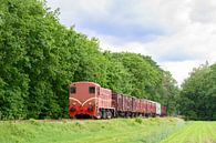 Old diesel freight train in the countryside by Sjoerd van der Wal Photography thumbnail