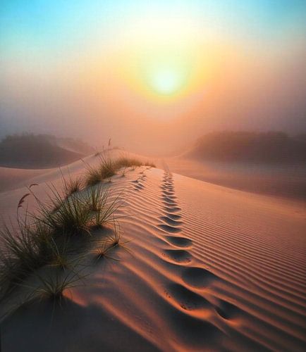 Sonnenaufgang in den Dünen. von Peter van Rijn