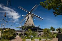 Tuin bij Molen De Korenaar te Sexbierum