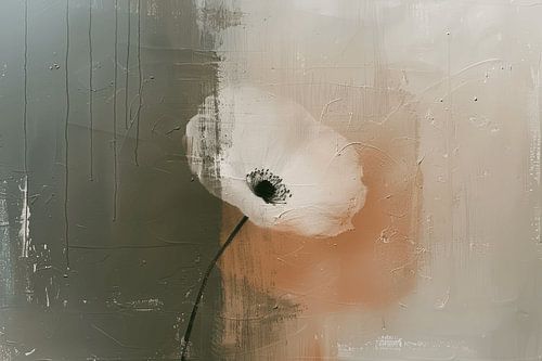 Papaver in Japandi stijl