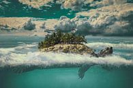 The moving island von Elianne van Turennout Miniaturansicht