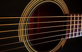 Guitar strings of an acoustic guitar by Werner Lehmann