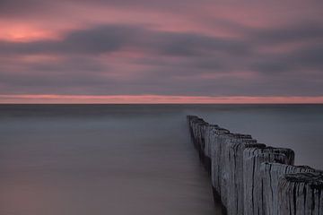Rosa Himmel mit Stangen