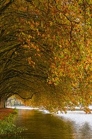 Autumn at Baldeneysee by Henk Meijer Photography