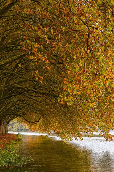 Herbst am Baldeneysee von Henk Meijer Photography