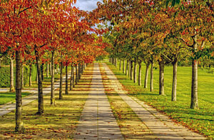 Herbstkleid