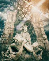 Cats & Kings