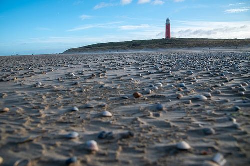 Texel lighthouse and beach